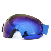 Mens Dames Ski Snowboard Goggles Unisex Anti Fog UV Dubbele Lens Winter Goggle