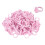 100pcs Disposable Lash Glue Holder Ring Cup 3