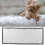 Black Portable Pet Gate Fence Foldable Small 12