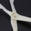 Piping Flower Scissors Nail Icing Cake Decorating 14