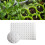 Seedling Sponge Garden Soilless Cultivation 12
