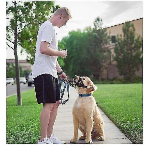 Dog Soft Anti-biting Barking Secure,mesh Breathable Pets Muzzle for Dogs 2