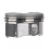 1Set Engine Piston Assembly W/ Rings for TC 132112 7