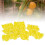 Reusable Plant Rooting Device High Pressure 11