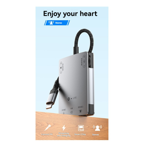 USB Type-C Live Sound Card Speaker Audio Interface 2
