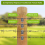 Fence Staples,Fence Nails for Softwood, Reusable W 5