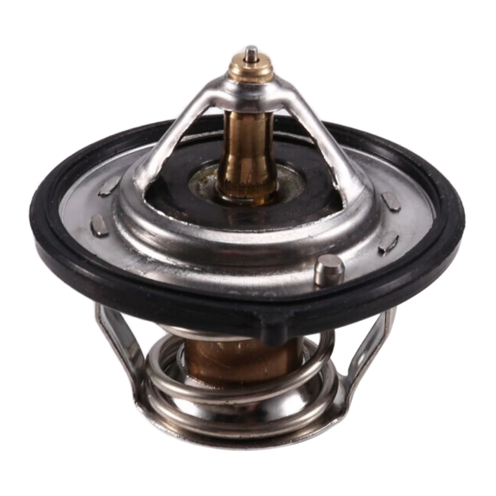 255002B000 Engine Coolant Thermostat For Accent Ce Black/Silver 4852415866940