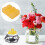 Fragrance Wax Melts Solid Odor Eliminating Scented 11