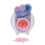 200g Lasting Fragrance Beads Laundry Softener 7