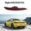 Rear Bumper Reflector Patch Lights for 718 2.0T 20 6