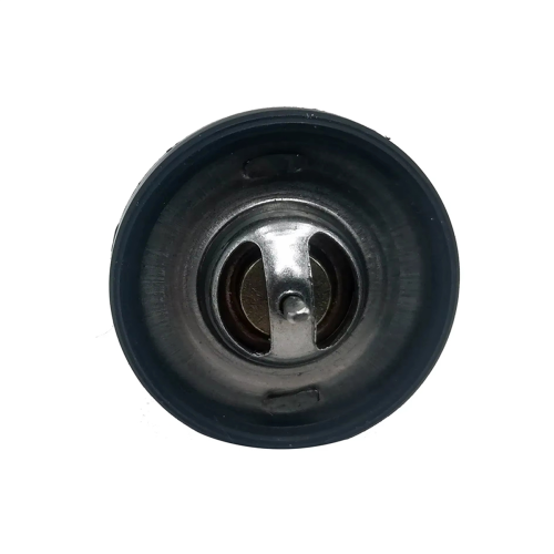 Thermostat 17670-94J01 60 für Schiffsausrüstung DF8A 9.9 15 2
