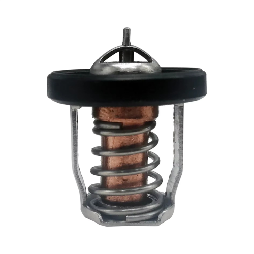 Thermostat 17670-94J01 60 für Schiffsausrüstung DF8A 9.9 15 1