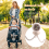 Portable Baby Stroller Fan with Clip,USB Rechargea 6