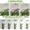 160mm Full Spectrum 72LED Dimmable Plant Grow Light Fill 3 Modes Timer 5