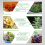 160mm Full Spectrum 72LED Dimmable Plant Grow Light Fill 3 Modes Timer 6