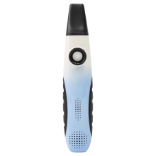 Professionele Kazoo, gemakkelijk te leren blaasinstrument, muziekinstrumenten G