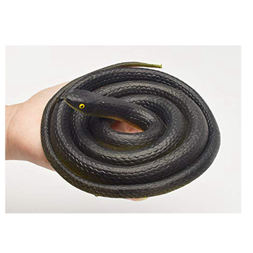 Snake Prank with String Clip - on Prank,Snake A Prank,Golf and Clip,A 2