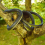 Snake Prank with String Clip - on Prank,Snake A Prank,Golf and Clip,F 4