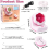 Automatic Clay Bead Bowl for Bracelet Making, Spinner with Needle and 4