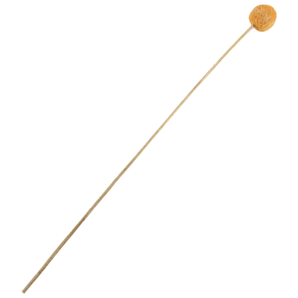 40 Pezzi Di Fiori Di Craspedia Secchi, Palline Di Fiori, Bouquet Di Fiori Secchi