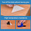 Adhesive Table Protective Film Glossy Clear Protection Anti-Scratch He 7