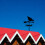 Hen and Chicks Windwijzer - Retro Windwijzer Silhouet Decoratief 5