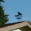 Hen and Chicks Windwijzer - Retro Windwijzer Silhouet Decoratief 3