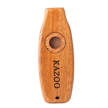 Kazoo Fluit Houten Instrumenten Gitaar Ukelele Begeleiding Patry Musi