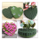 stk. hjerteformede blomsterskumblokker grønne blomsterleire hjerteformede bri 7