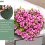 stk. hjerteformede blomsterskumblokker grønne blomsterleire hjerteformede bri 6