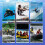 Thermische badmuts, neopreen duikkap, wetsuitmuts, badmutsen met C 4