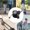 For DAMAO MA01 Electric Scooter LCD Display Dashboard Backlight 36V-72 5