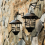 2Pcs Solar Lantern Outdoor Decorative Wall with Hooks Waterproof Metal 6