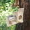 Squirrel Feeding Box Food Container Wooden Pet Storage Tools Bird Feed 5