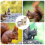 Squirrel Feeding Box Food Container Wooden Pet Storage Tools Bird Feed 10