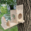 Squirrel Feeding Box Food Container Wooden Pet Storage Tools Bird Feed 9