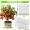 Plant Root Guard Baskets Wire Basket Mole and Vole Mesh for Garden Pot 3