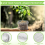 Plant Root Guard Baskets Wire Basket Mole and Vole Mesh for Garden Pot 5