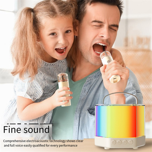 Karaokemachine, draagbare Bluetooth-luidspreker met verbluffende baslichten 2