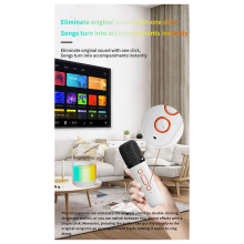 Bezdrôtový duálny mikrofón s farebným RGB LED svetlom a Bluetooth 5.3 PA reproduktorom
