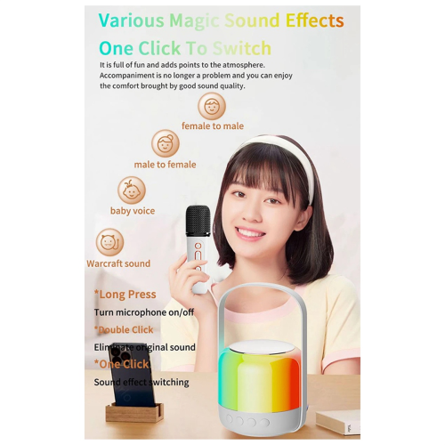 Έγχρωμο φως LED RGB Bluetooth 5.3 PA Ηχείο Ασύρματο Διπλό Μικρόφωνο 2