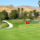 Golf Flagstick Flag Putting for Backyard Practice Green 5