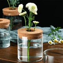 Hydroponisk planteflaske minivase grøn potte hjem have gårdhave dekoration