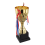 Taça de troféu de ouro de 11,4 polegadas para competições de futebol esportivas 3