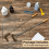 3 Pcs Fryer Cleaning Tools,Stainless Steel Deep Tools,Basket Brush,Air 6
