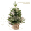 Mini Desktop Christmas Tree Atmosphere Decoration Rotating Music Box H 6
