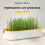 Hydroponic Cat Grass Box Snack Soilless Planting Pot A 8