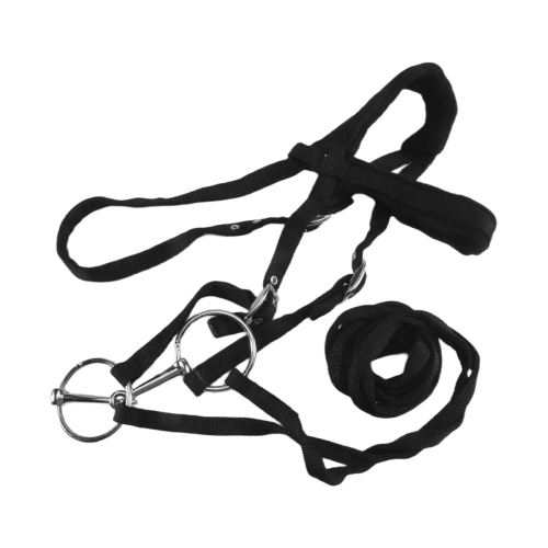 Equipamento ajustável cabresto freio de cavalo com freio e cinto de rédea para Eq 2