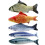 τεμάχια παιχνίδια Catnip Fish για γάτες, μαξιλάρι 20 εκατοστών 2