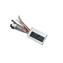 48V 14A 250W/350W Lithium Battery Assisted Folding Car Modified Electr